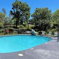 Swimming pool at Best Western Tallahassee-Downtown Inn & Suites