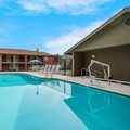 Pool image of Best Western Willits Inn