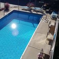 Swimming pool at Cactus Tree Inn
