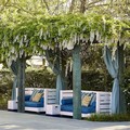 Pool image of Calistoga Motor Lodge and Spa