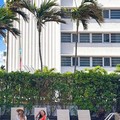 Pool image of Circa 39 Miami Beach by IHG