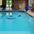Photo of Comfort Inn & Suites Columbus North Pool