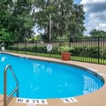 Pool image of Comfort Inn & Suites DeLand - near University