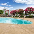 Pool image of Comfort Inn & Suites Knoxville West