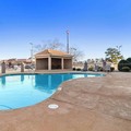Pool image of Comfort Suites Lumberton North
