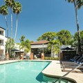 Pool image of Courtyard St. Petersburg Clearwater