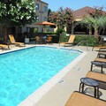 Photo of Courtyard by Marriott Houston Hobby Airport Pool