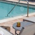 Pool image of Crowne Plaza Ft. Myers Gulf Coast An Ihg Hotel
