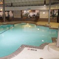 Pool image of Embassy Suites Corpus Christi