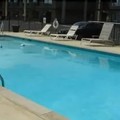 Pool image of Fiddler's Inn Opryland / Nashville Airport