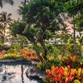 Swimming pool at Grand Hyatt Kauai Resort and Spa