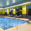 Pool image of Hampton Inn Westfield
