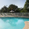 Pool image of Hampton Inn by Hilton Tampa Faigrounds Casino