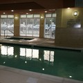 Pool image of Hilton Garden Inn Birmingham/Trussville