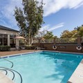 Pool image of Hilton Garden Inn San Mateo
