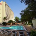 Swimming pool at Hilton St. Petersburg Bayfront