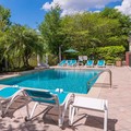 Photo of Holiday Inn Express Hotel & Suites Tampa Anderson Rd / Veteran By Pool