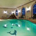 Photo of Holiday Inn Express & Suites East Amarillo by IHG Pool