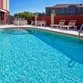 Photo of Holiday Inn Express & Suites Tampa Northwest Oldsmar by IHG Pool