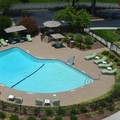 Pool image of Holiday Inn Greensboro Coliseum