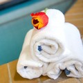 Photo of Holiday Inn Hotel & Suites Mississauga by IHG Pool