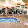 Pool image of Holiday Inn Manitowoc by IHG