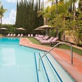 Swimming pool at Hollywood Hotel