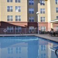 Photo of Homewood Suites by Hilton Phoenix-Biltmore Pool