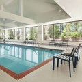 Pool image of Homewood Suites by Hilton Williamsburg