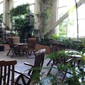 Pool image of Hotel L'oie Des Neiges