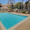 Pool image of Hyatt House Belmont / Redwood Shores