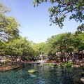 Pool image of Hyatt Regency Hill Country Resort and Villas