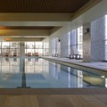 Photo of Hyatt at Olive 8 Pool