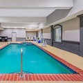 Pool image of La Quinta Inn & Suites by Wyndham Gainesville