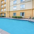 Pool image of La Quinta Inn & Suites by Wyndham Tampa Brandon Regency Park