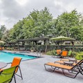 Pool image of La Quinta Inn & Suites by Wyndham Tomball