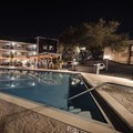 Pool image of La Quinta Inn by Wyndham Tampa Near Busch Gardens