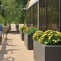 Pool image of Madison Marriott South