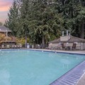 Pool image of Mt Hood Oregon Resort, BW Premier Collection