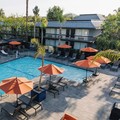 Pool image of Palm Garden Hotel