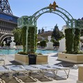 Photo of Paris Las Vegas Resort & Casino Pool