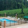 Pool image of Quality Inn Dahlonega Near University