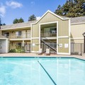 Pool image of Quality Inn Petaluma