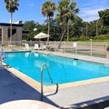 Pool image of Quality Inn Tallahassee Near University