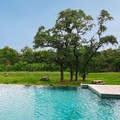 Pool image of Residence Inn by Marriott Austin Southwest