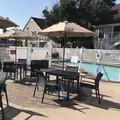 Pool image of Residence Inn by Marriott Fremont Silicon Valley