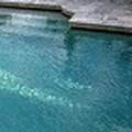 Swimming pool at Sheraton Milwaukee Brookfield Hotel