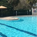 Swimming pool at Sheraton Tampa Brandon Hotel