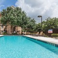 Pool image of Staybridge Suites Round Rock by IHG