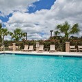 Swimming pool at Staybridge Suites Tallahassee An Ihg Hotel
